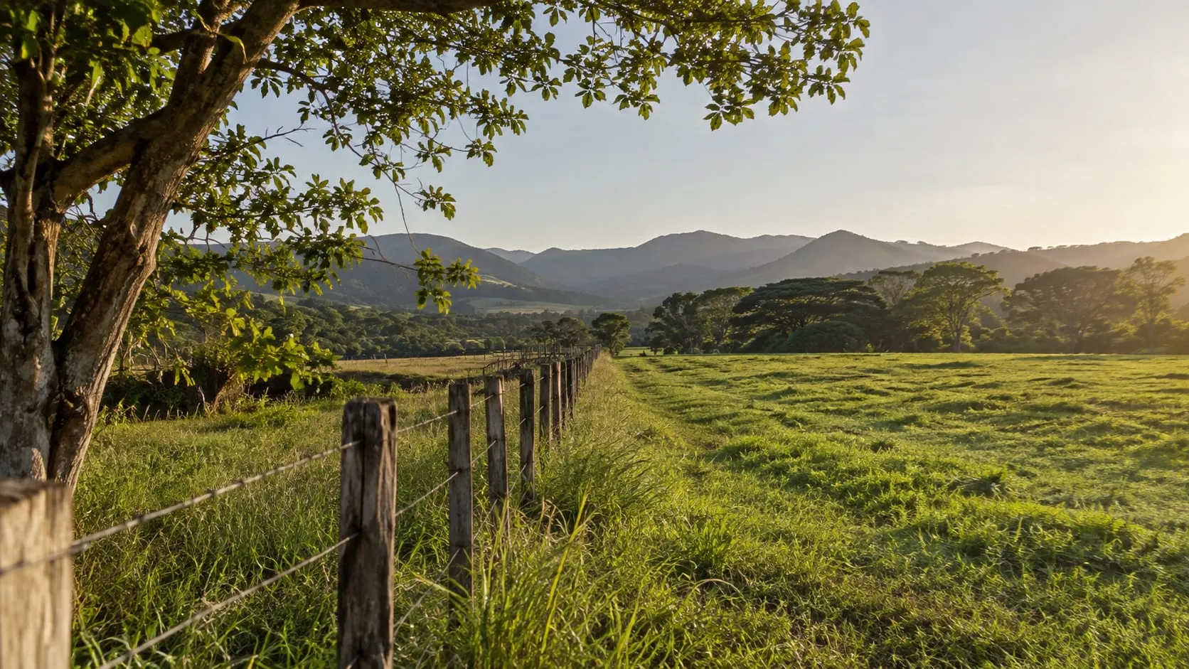 Como calcular o preço por hectare e alqueire: fórmulas e exemplos