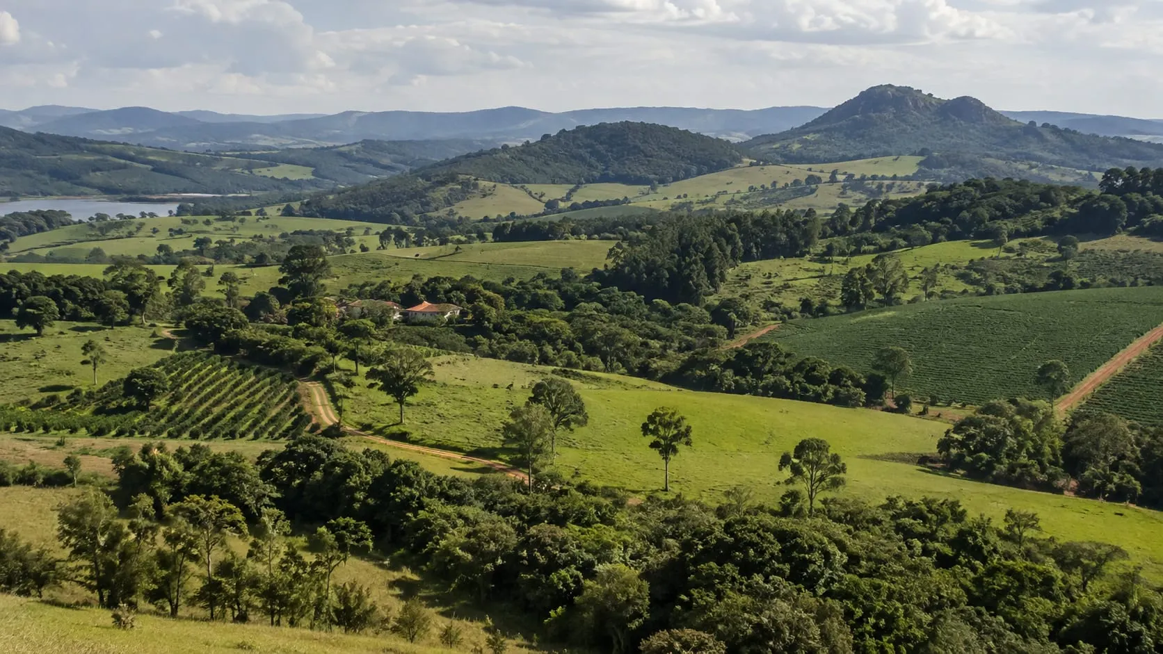 Preço do hectare em Minas Gerais: como comparar terras à venda