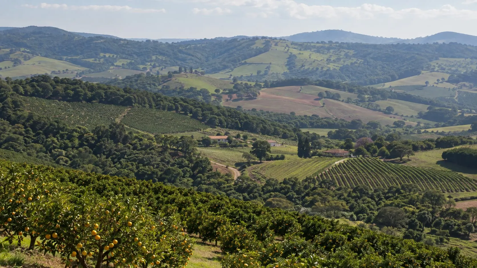 Preço do hectare em São Paulo: como pesquisar por região