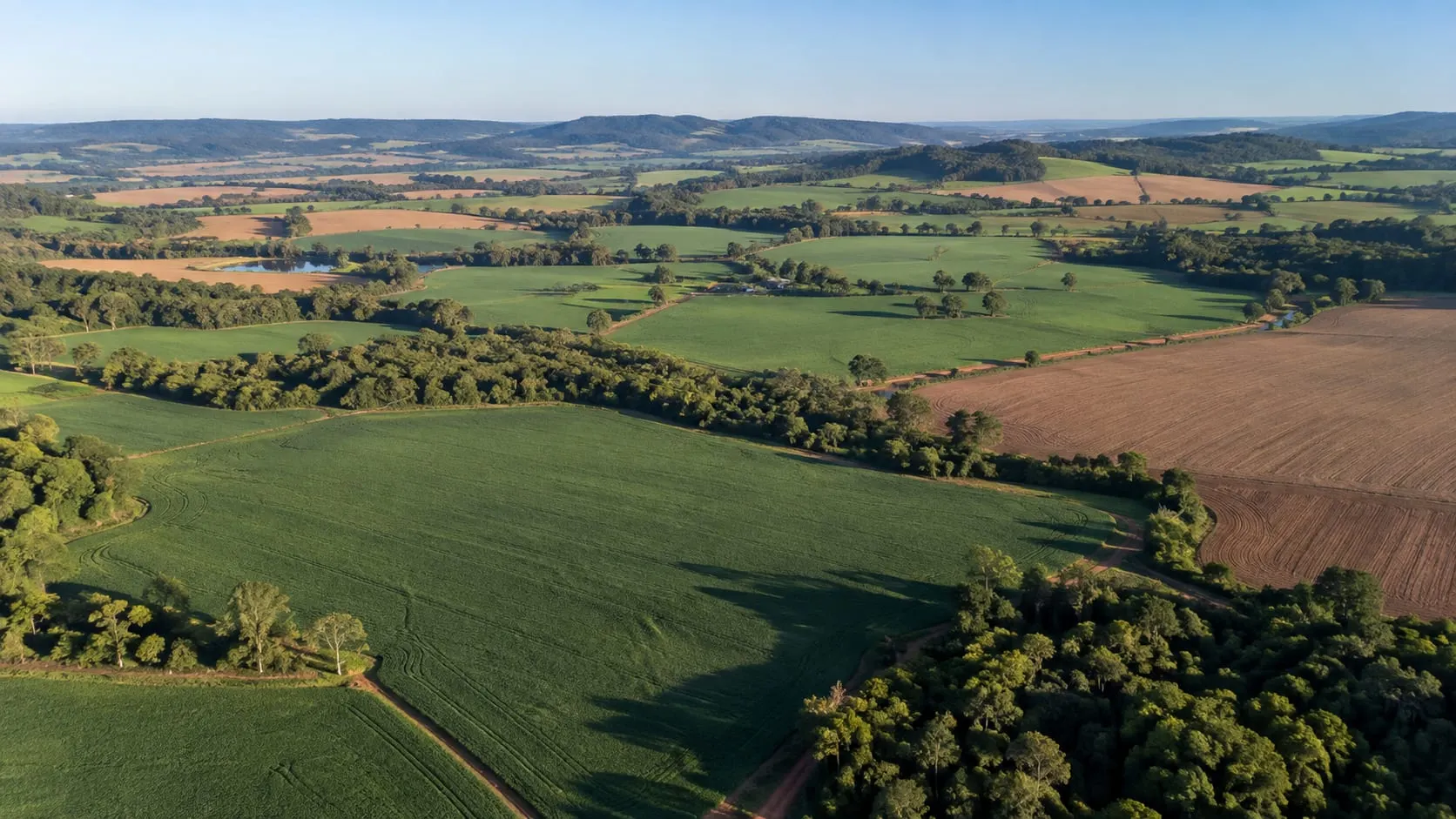 Quanto custa um hectare de terra no Brasil? Como comparar regiões