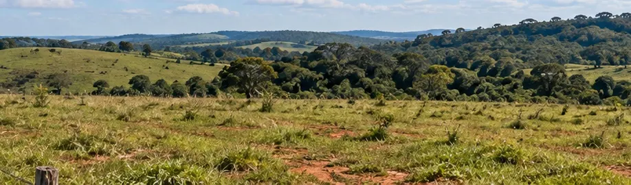 Tenho uma terra parada: como avaliar seu potencial para arrendamento