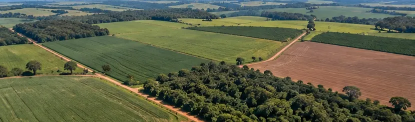 Quanto vale o arrendamento rural por hectare? Como avaliar sua área