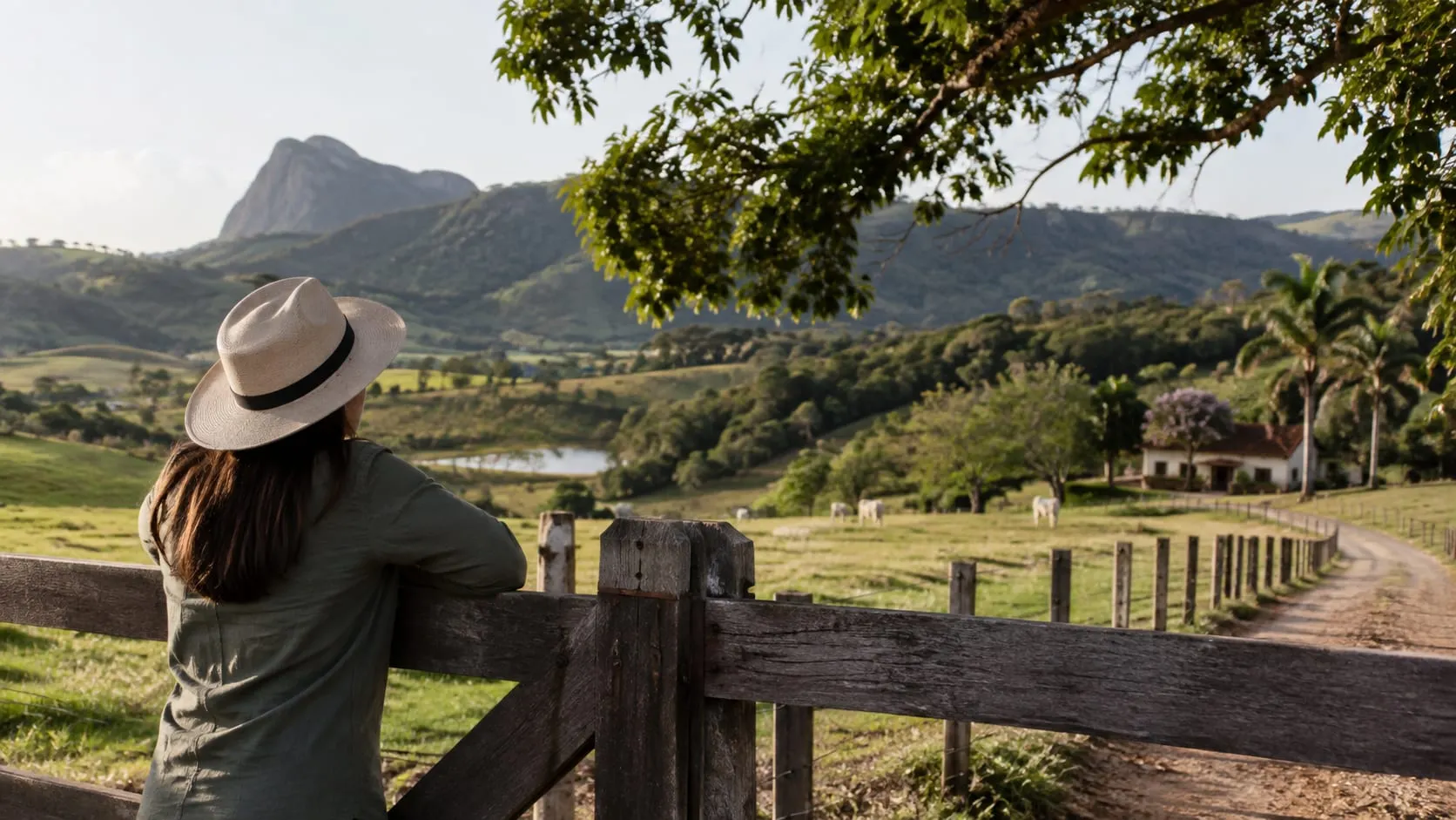 Moro longe da minha propriedade rural: como organizar a venda à distância