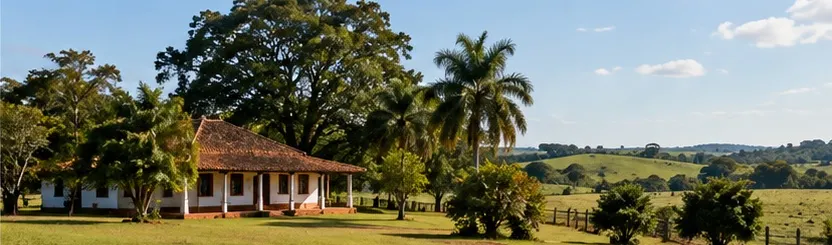 Vender ou arrendar a fazenda: o que comparar antes de decidir