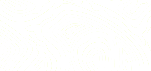 Topografia