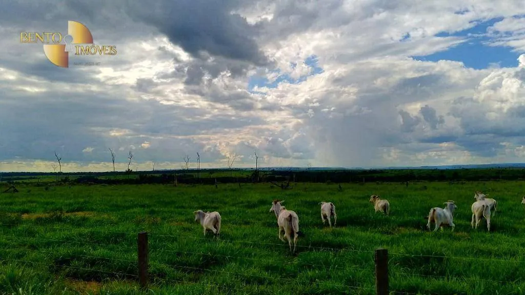 Fazenda à venda de 5.200 ha em Comodoro, MT, Brasil