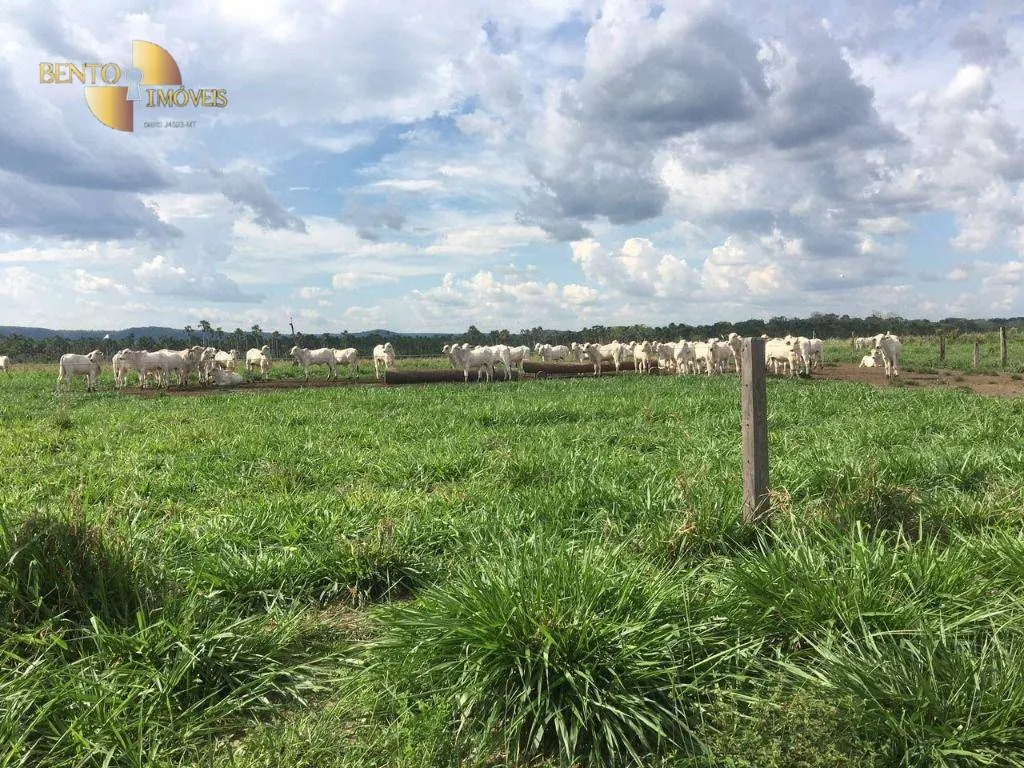 Fazenda à venda de 5.200 ha em Comodoro, MT, Brasil