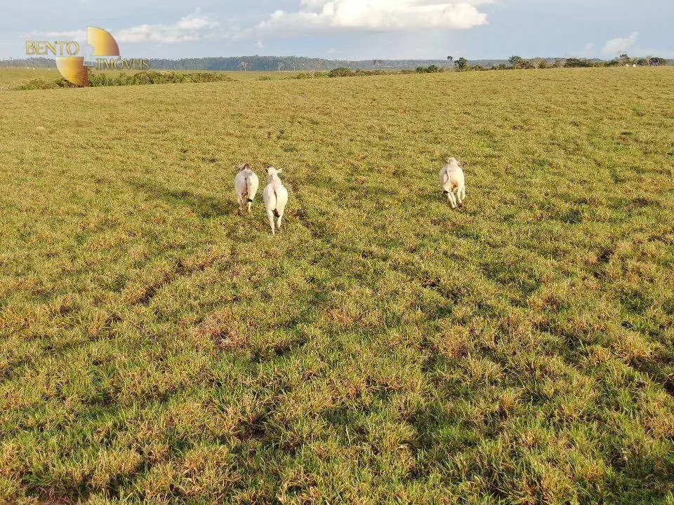 Fazenda à venda de 5.200 ha em Comodoro, MT, Brasil