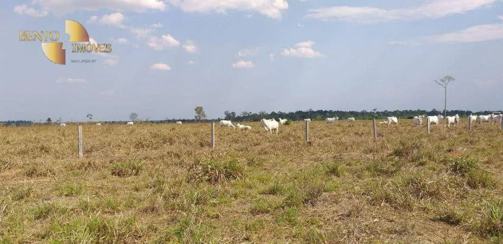 Fazenda à venda de 5.200 ha em Comodoro, MT, Brasil