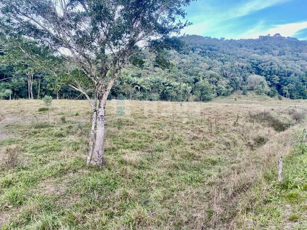 Terreno à venda de 2.400 m² em Nova Trento, SC, Brasil