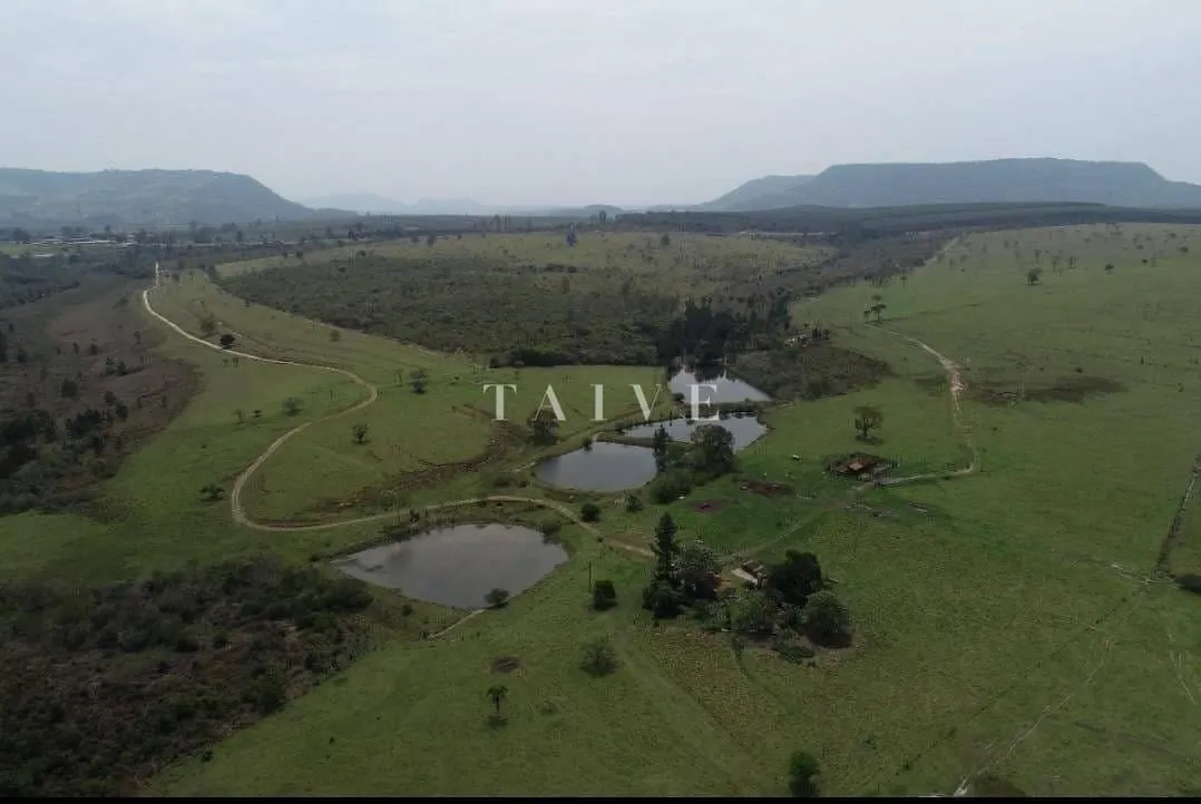 Fazenda à venda de 712 ha em Botucatu, SP, Brasil