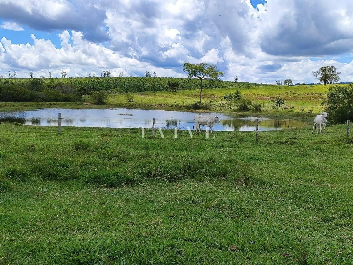 Fazenda à venda de 712 ha em Botucatu, SP, Brasil