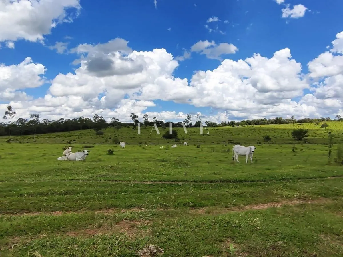 Fazenda à venda de 712 ha em Botucatu, SP, Brasil