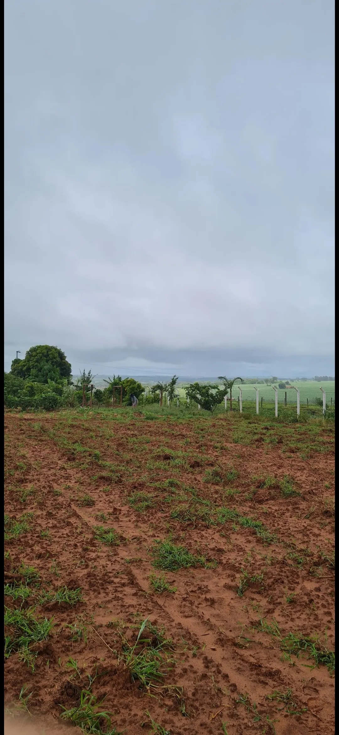Chácara à venda de 4.000 m² em Macedônia, SP, Brasil