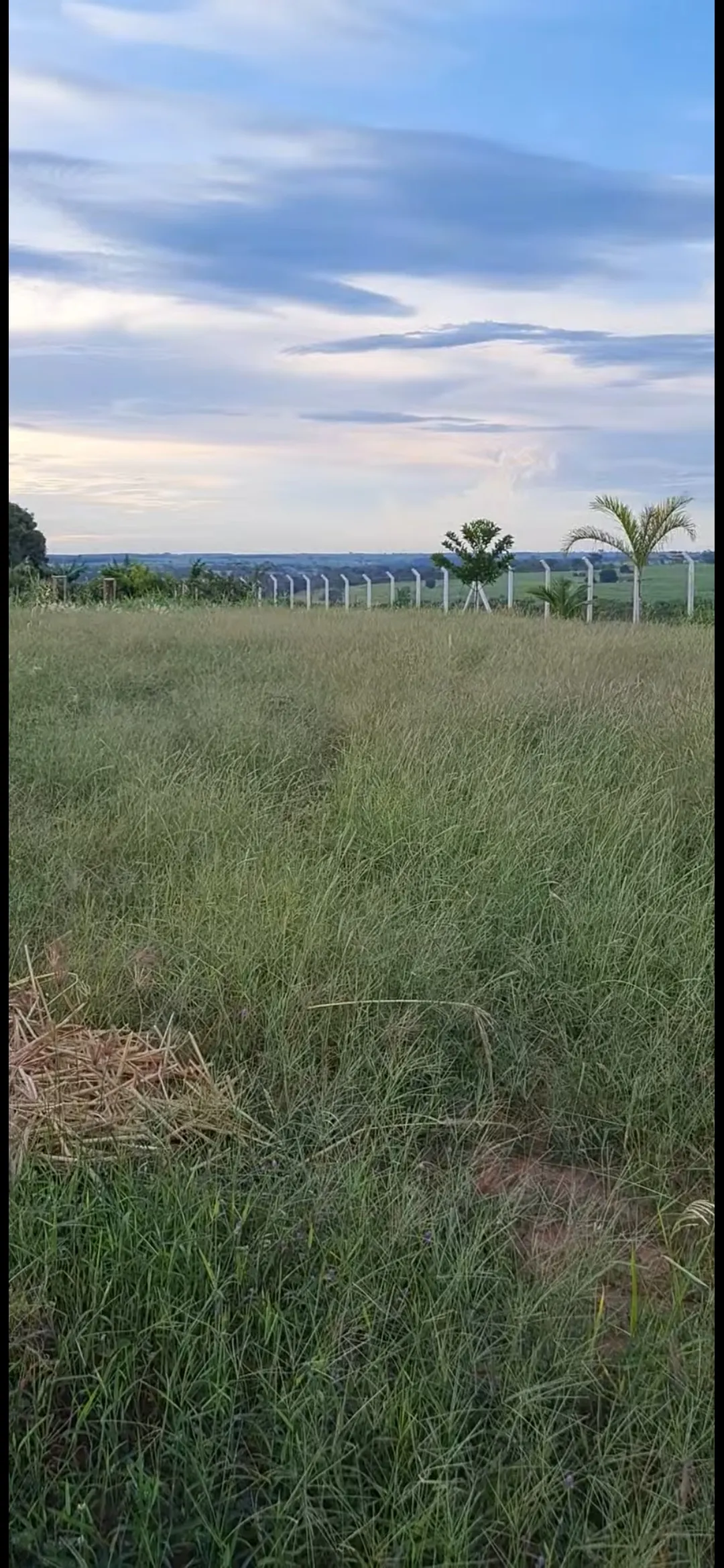 Chácara à venda de 4.000 m² em Macedônia, SP, Brasil