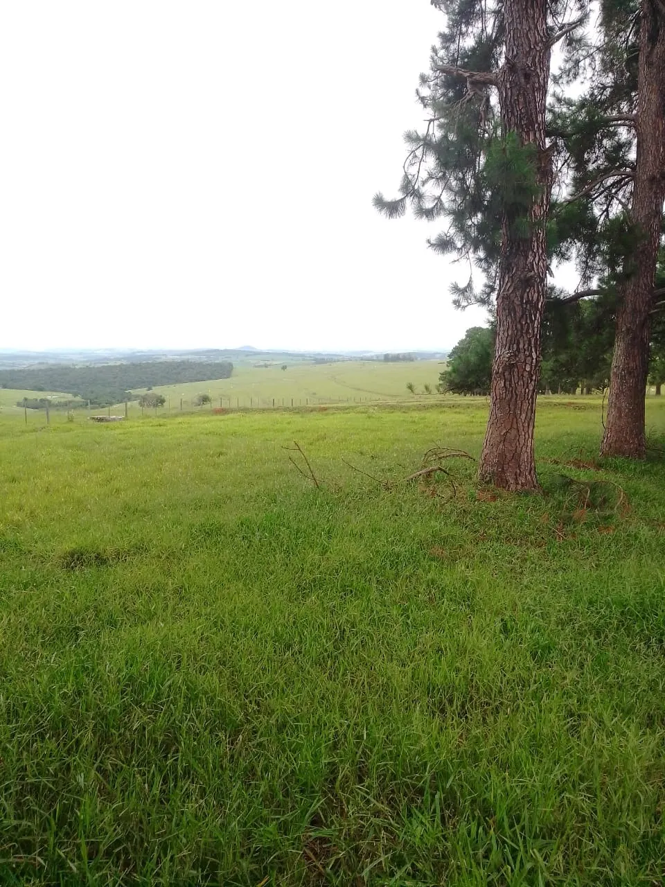 Fazenda à venda de 690 ha em Riversul, SP, Brasil