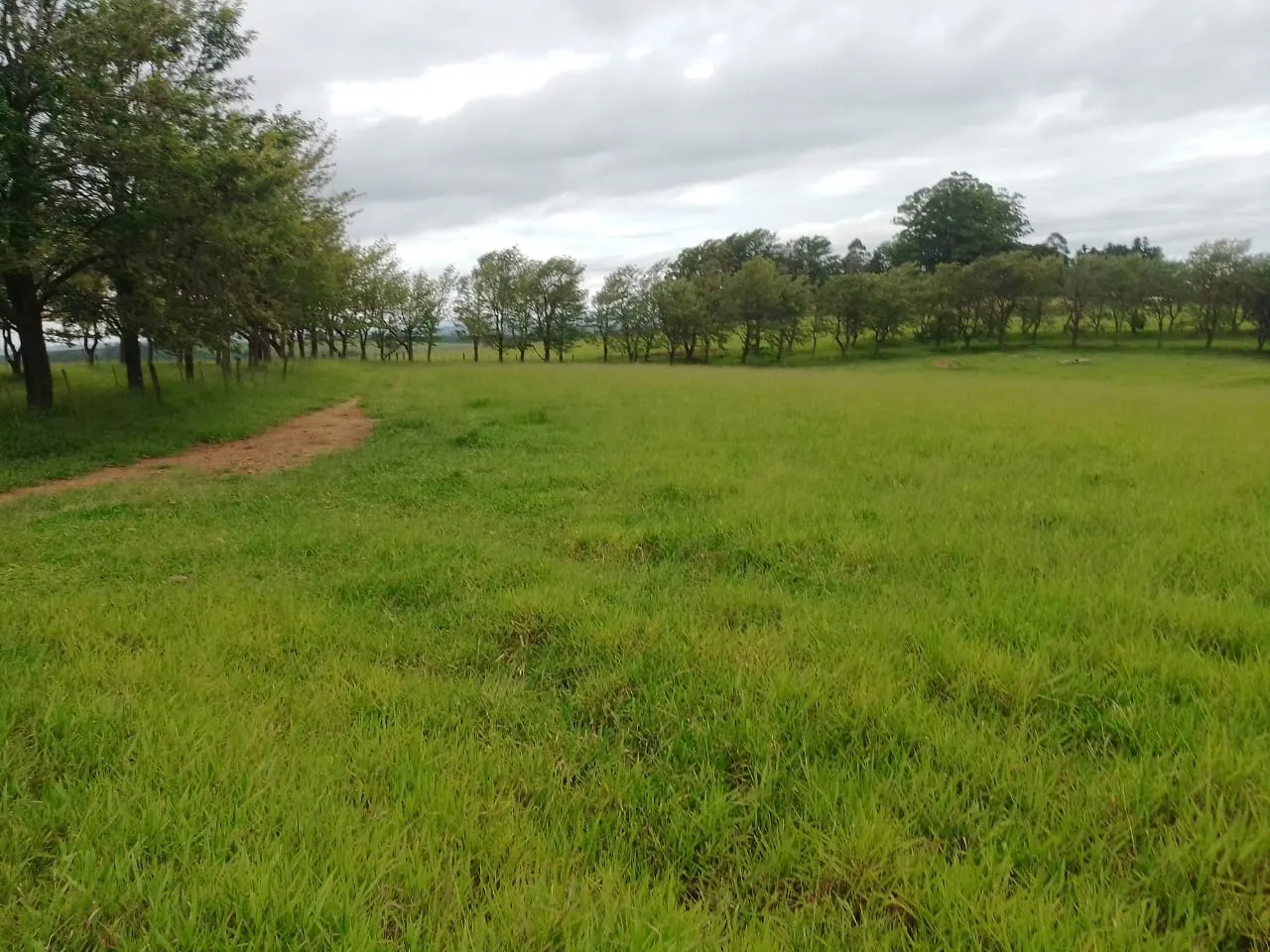 Fazenda à venda de 690 ha em Riversul, SP, Brasil