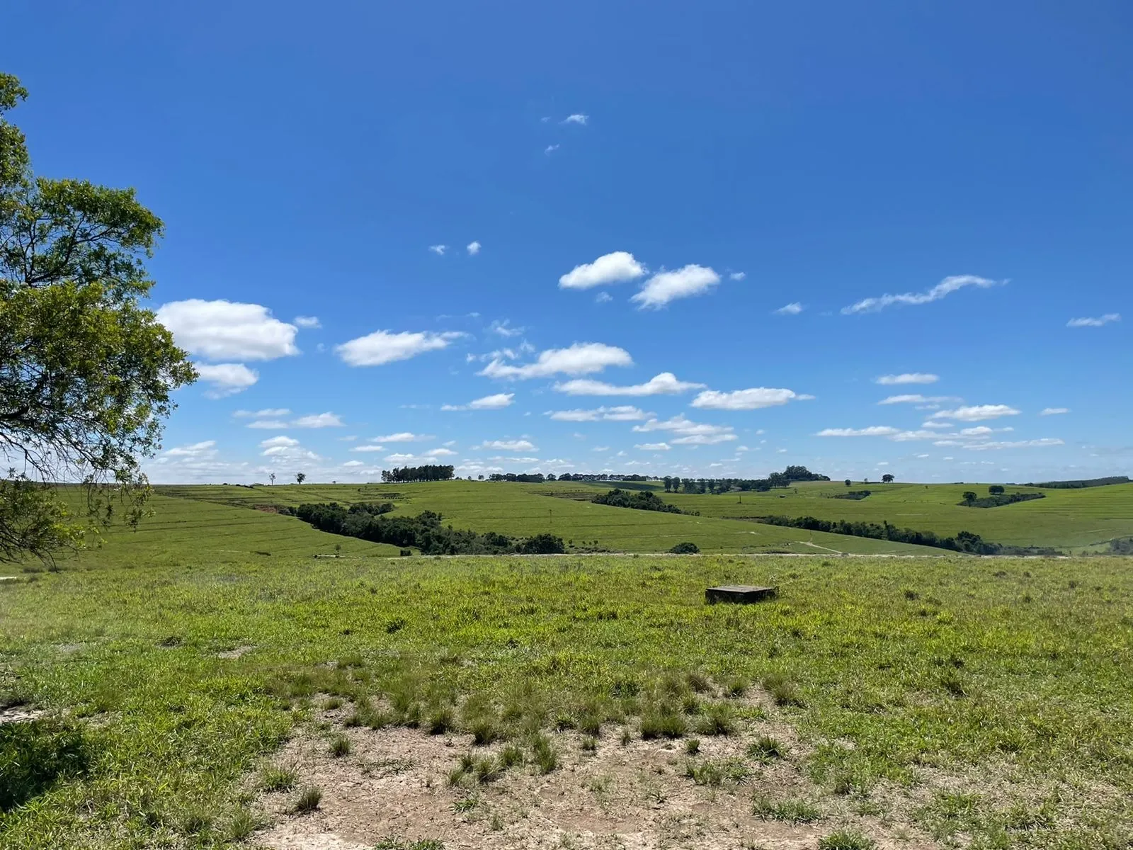Fazenda à venda de 690 ha em Riversul, SP, Brasil