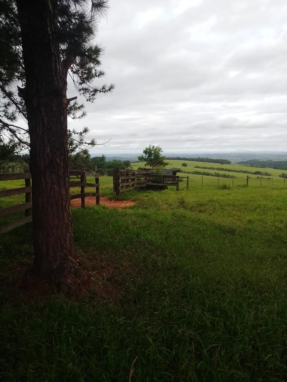 Fazenda à venda de 690 ha em Riversul, SP, Brasil