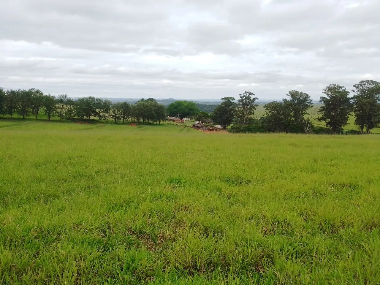 Fazenda à venda de 690 ha em Riversul, SP, Brasil