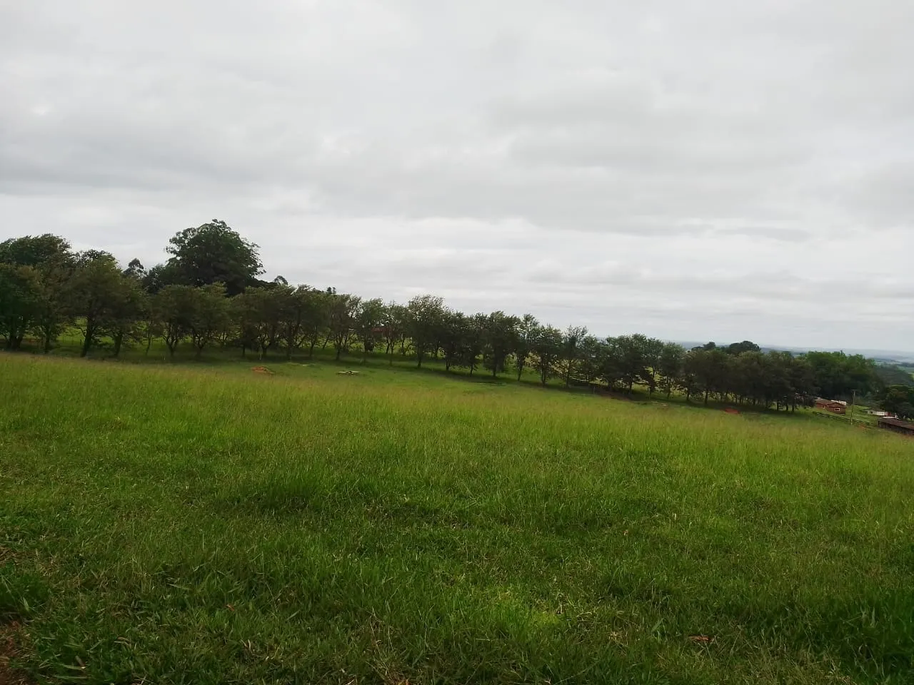 Fazenda à venda de 690 ha em Riversul, SP, Brasil