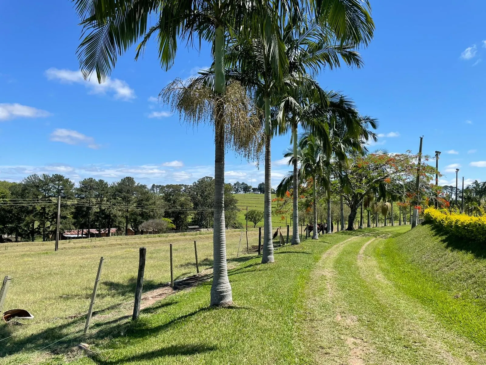 Fazenda à venda de 690 ha em Riversul, SP, Brasil