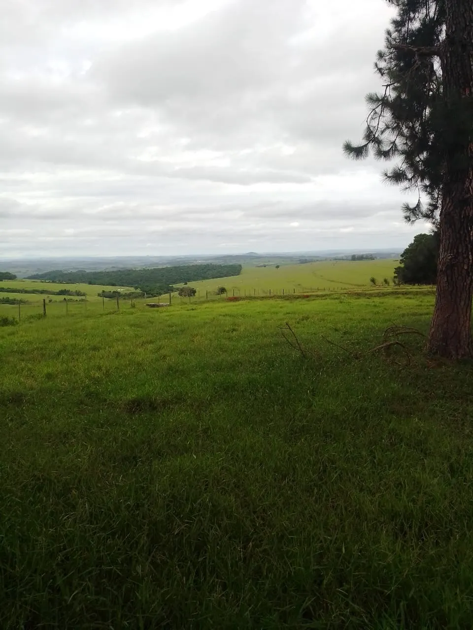 Fazenda à venda de 690 ha em Riversul, SP, Brasil