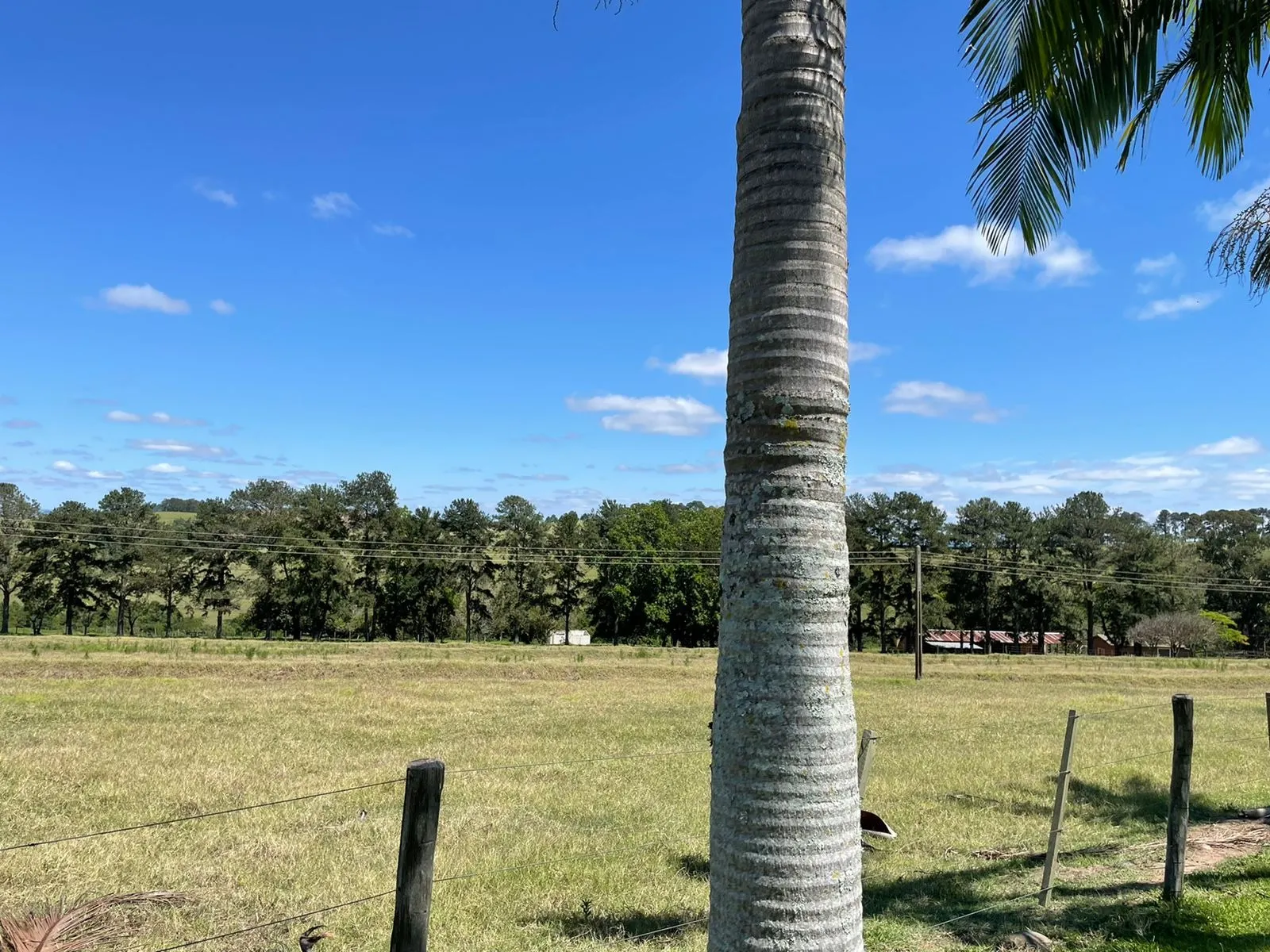 Fazenda à venda de 690 ha em Riversul, SP, Brasil