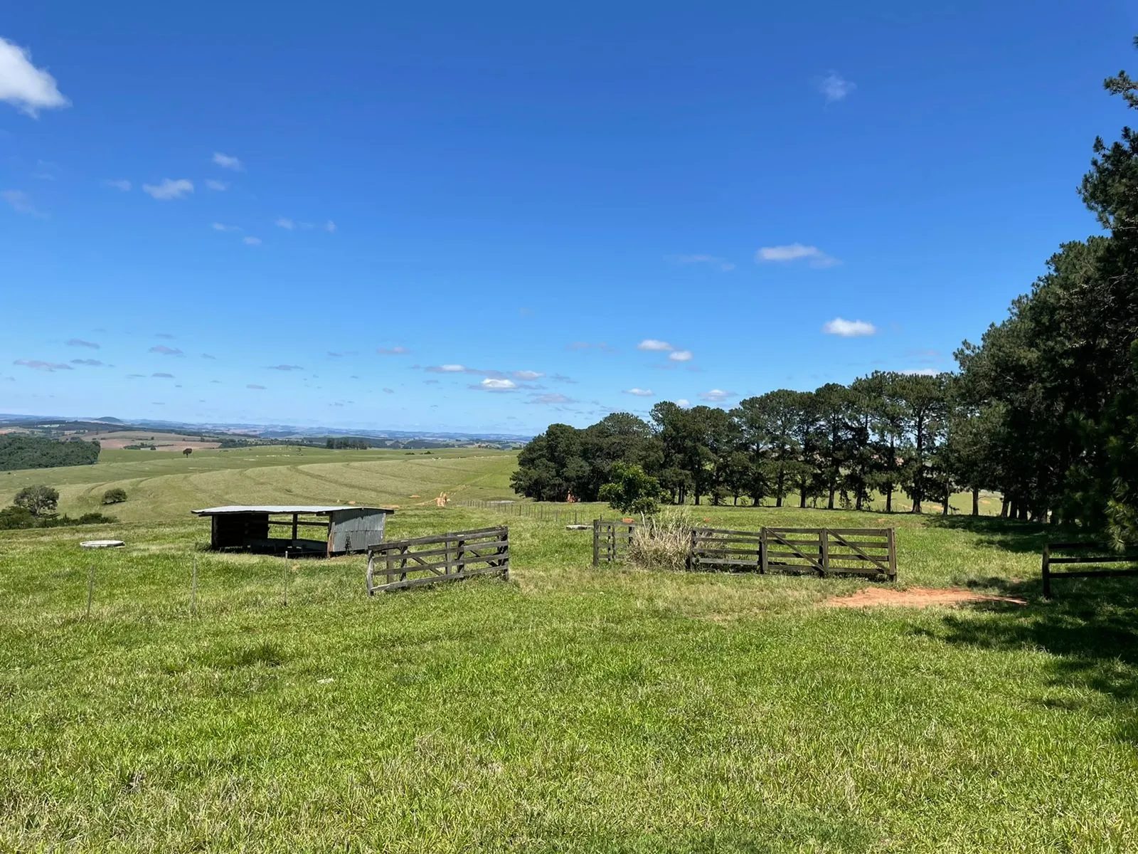 Fazenda à venda de 690 ha em Riversul, SP, Brasil