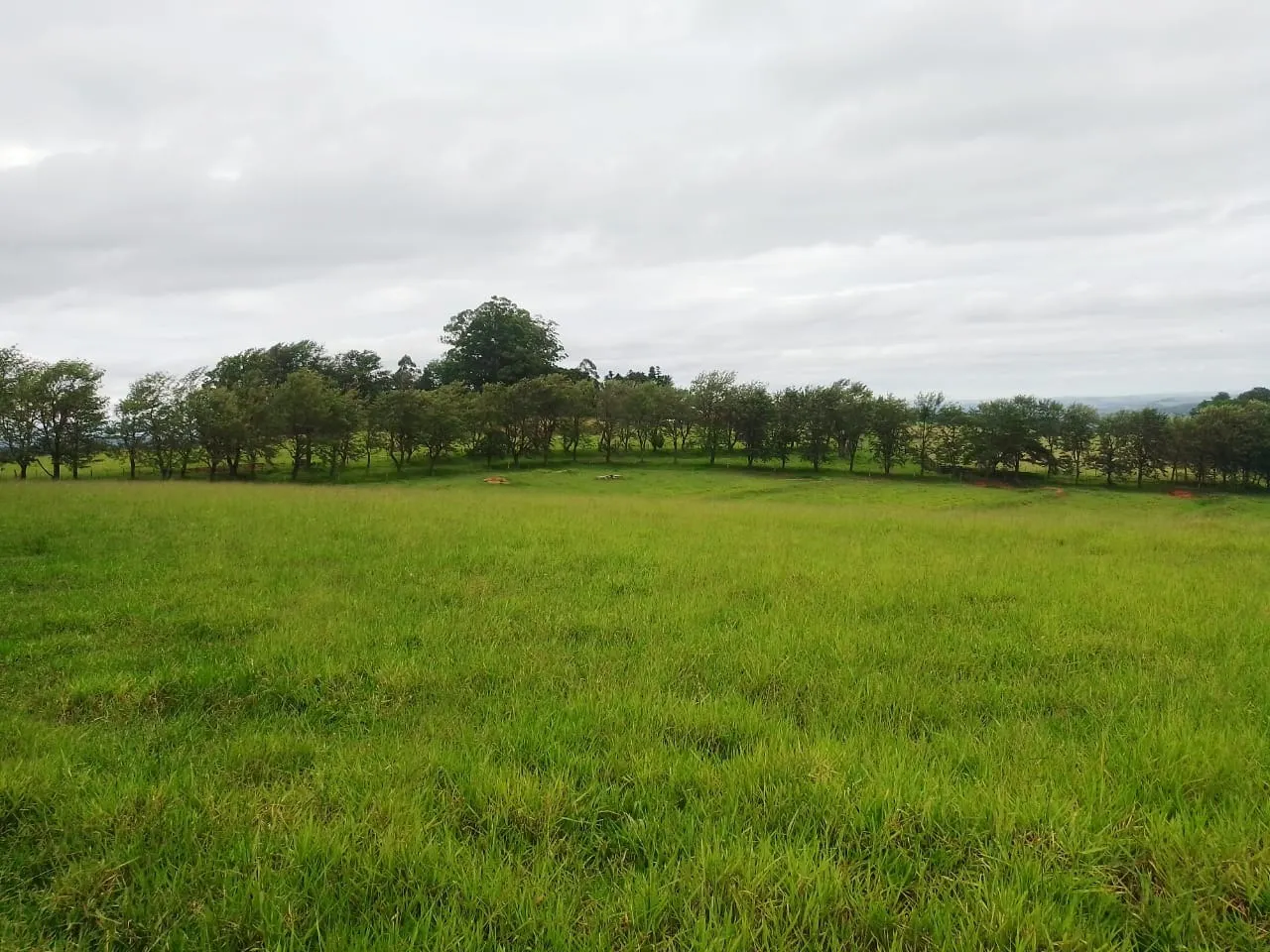 Fazenda à venda de 690 ha em Riversul, SP, Brasil