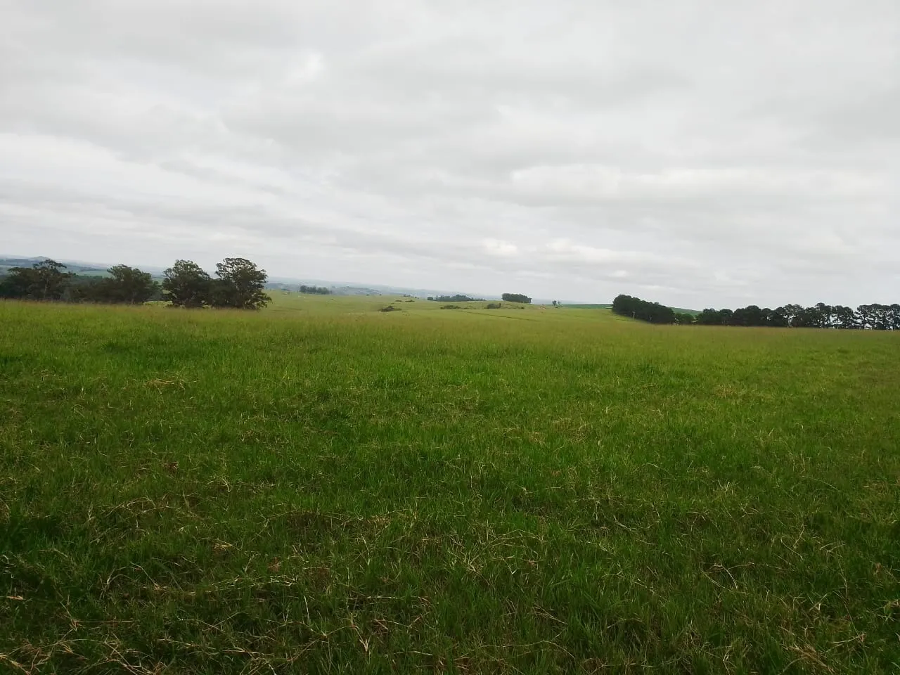 Fazenda à venda de 690 ha em Riversul, SP, Brasil