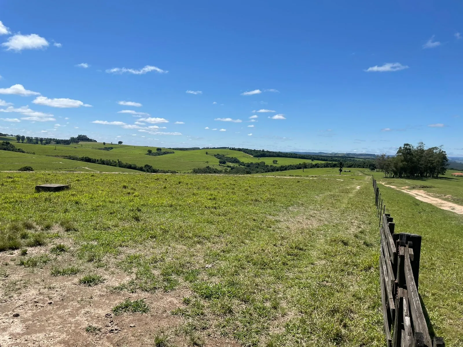 Fazenda à venda de 690 ha em Riversul, SP, Brasil