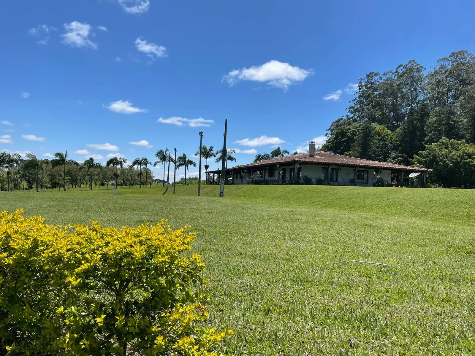 Fazenda à venda de 690 ha em Riversul, SP, Brasil
