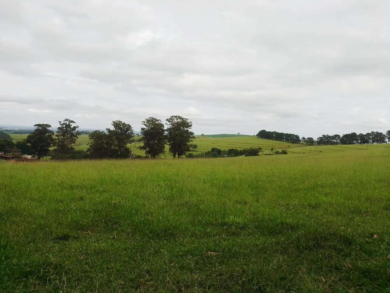 Fazenda à venda de 690 ha em Riversul, SP, Brasil