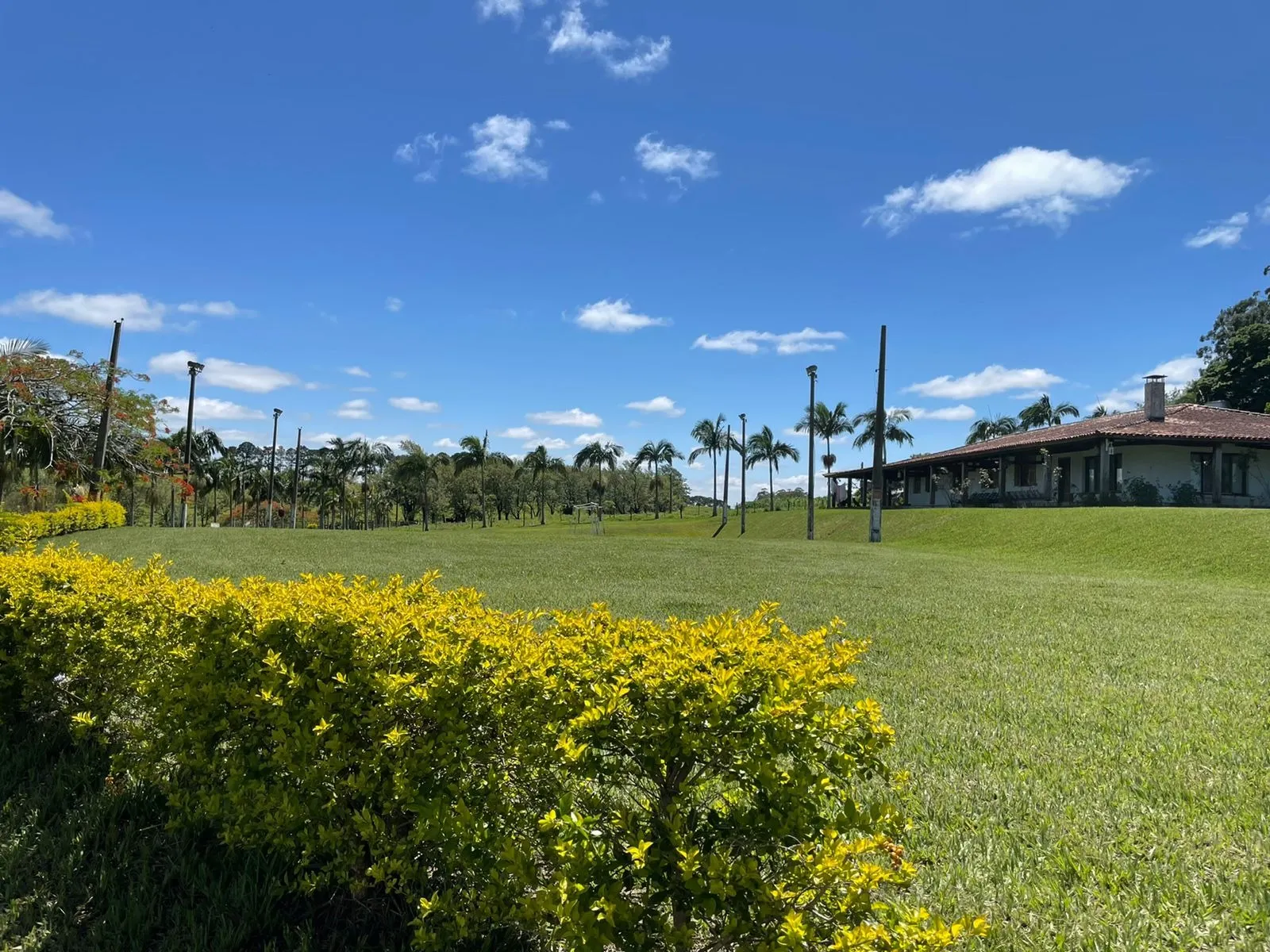 Fazenda à venda de 690 ha em Riversul, SP, Brasil