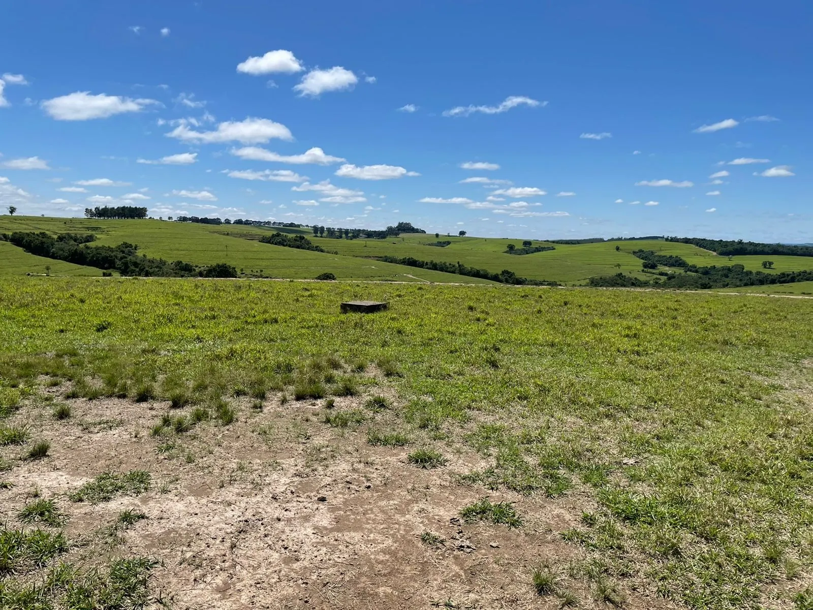 Fazenda à venda de 690 ha em Riversul, SP, Brasil