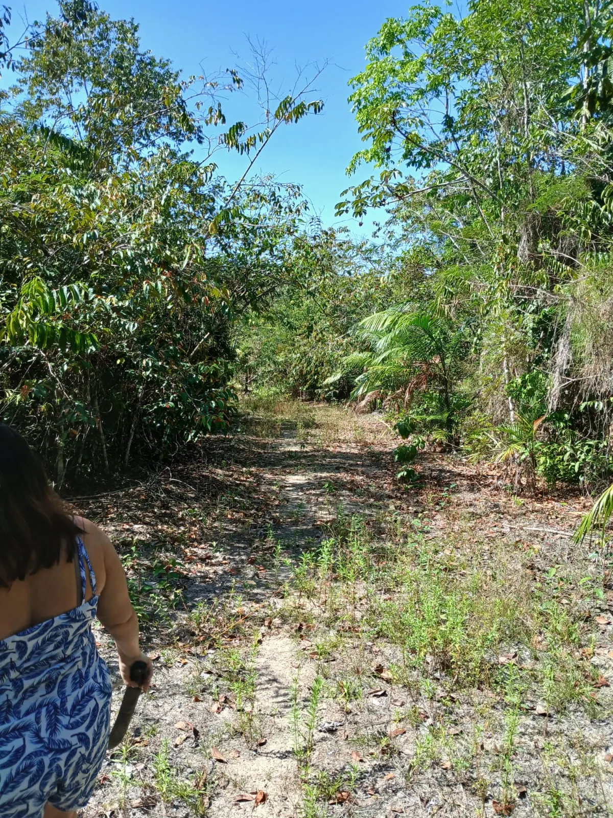 Sítio à venda de 8 ha em Bujaru, PA, Brasil