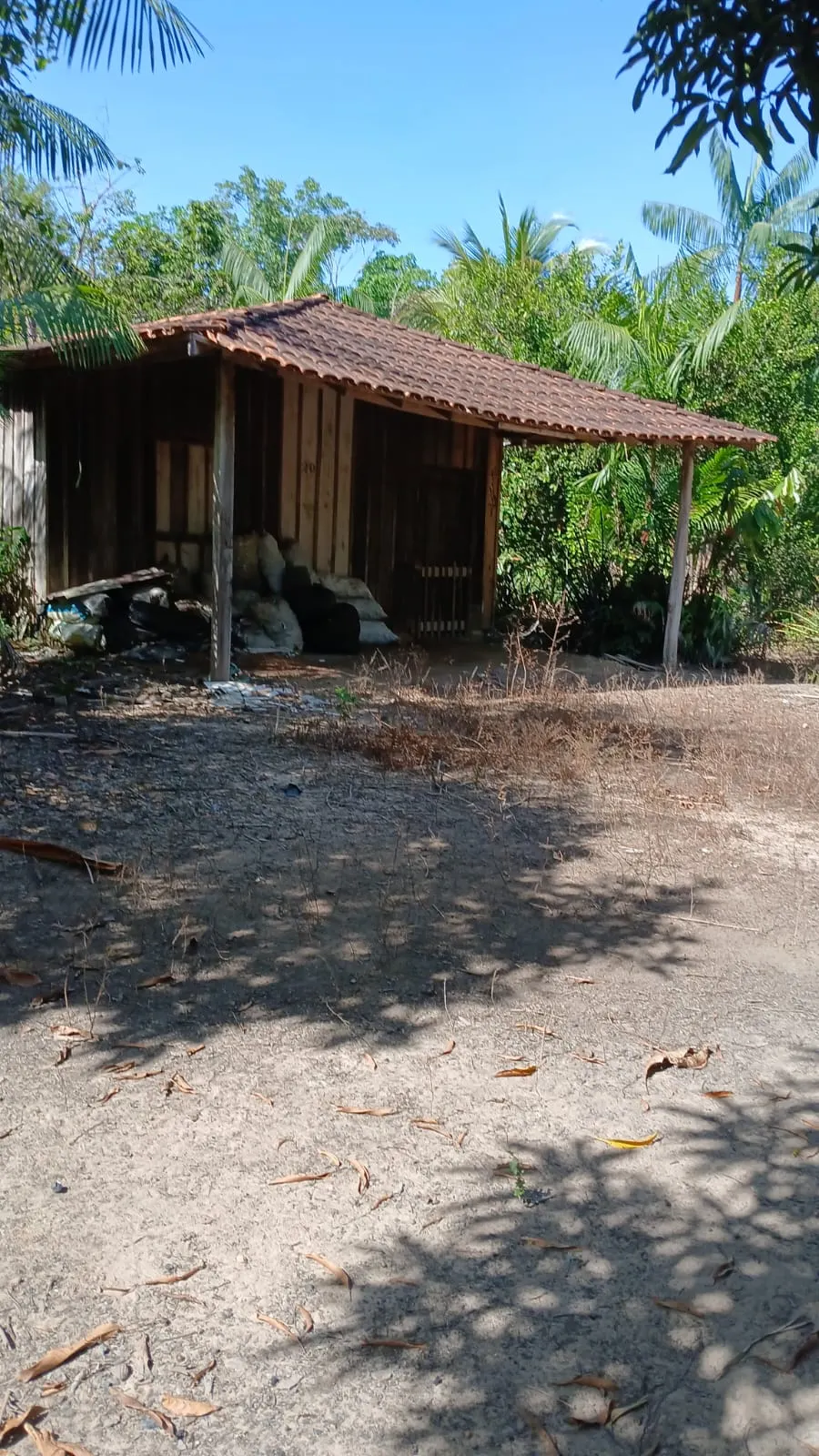 Sítio à venda de 8 ha em Bujaru, PA, Brasil