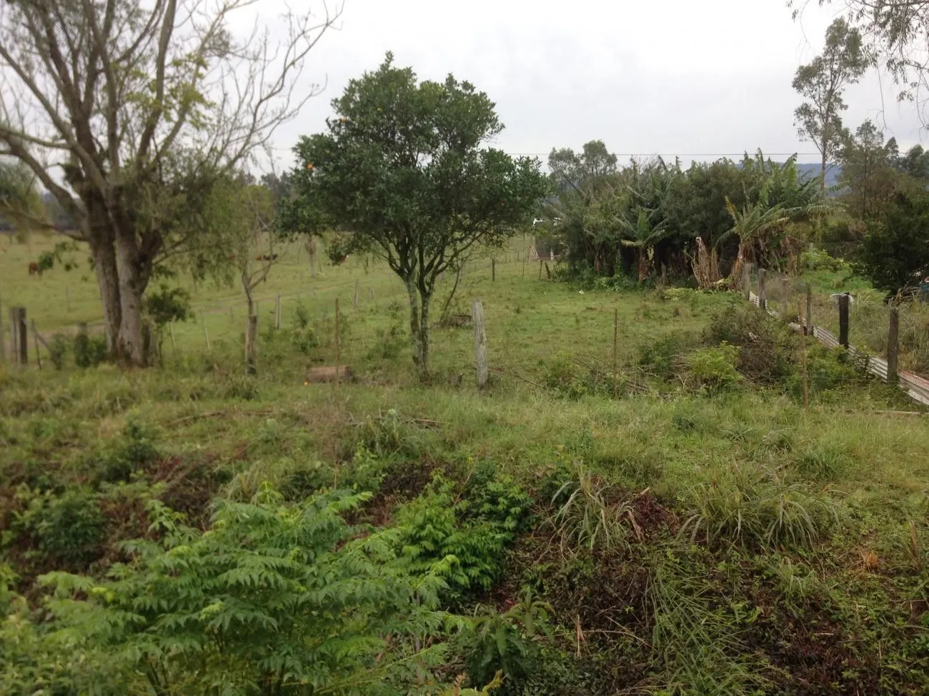 Terreno à venda de 1.500 m² em Santo Antônio da Patrulha, RS, Brasil