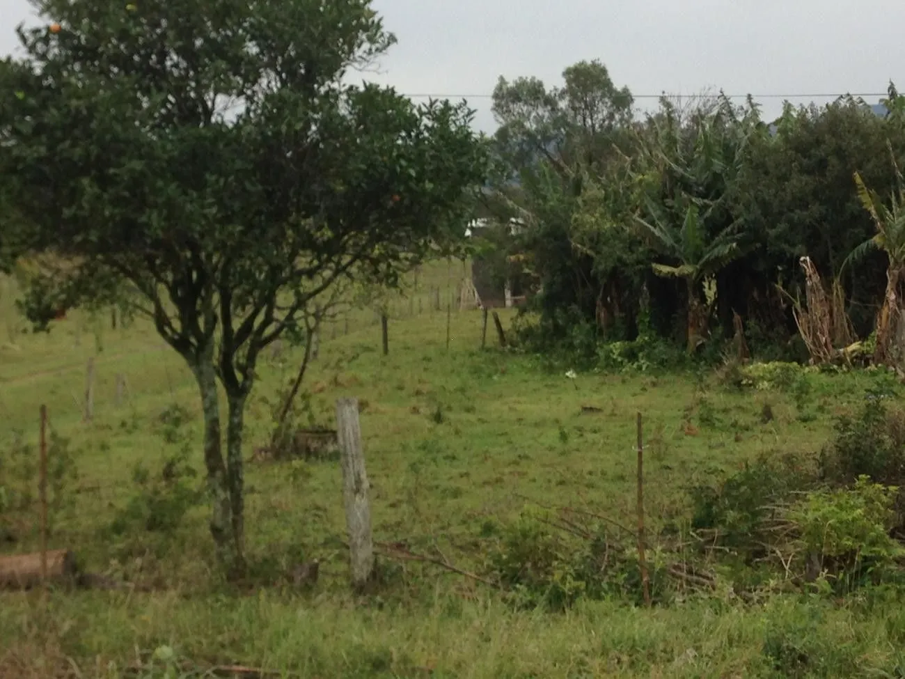Terreno à venda de 1.500 m² em Santo Antônio da Patrulha, RS, Brasil
