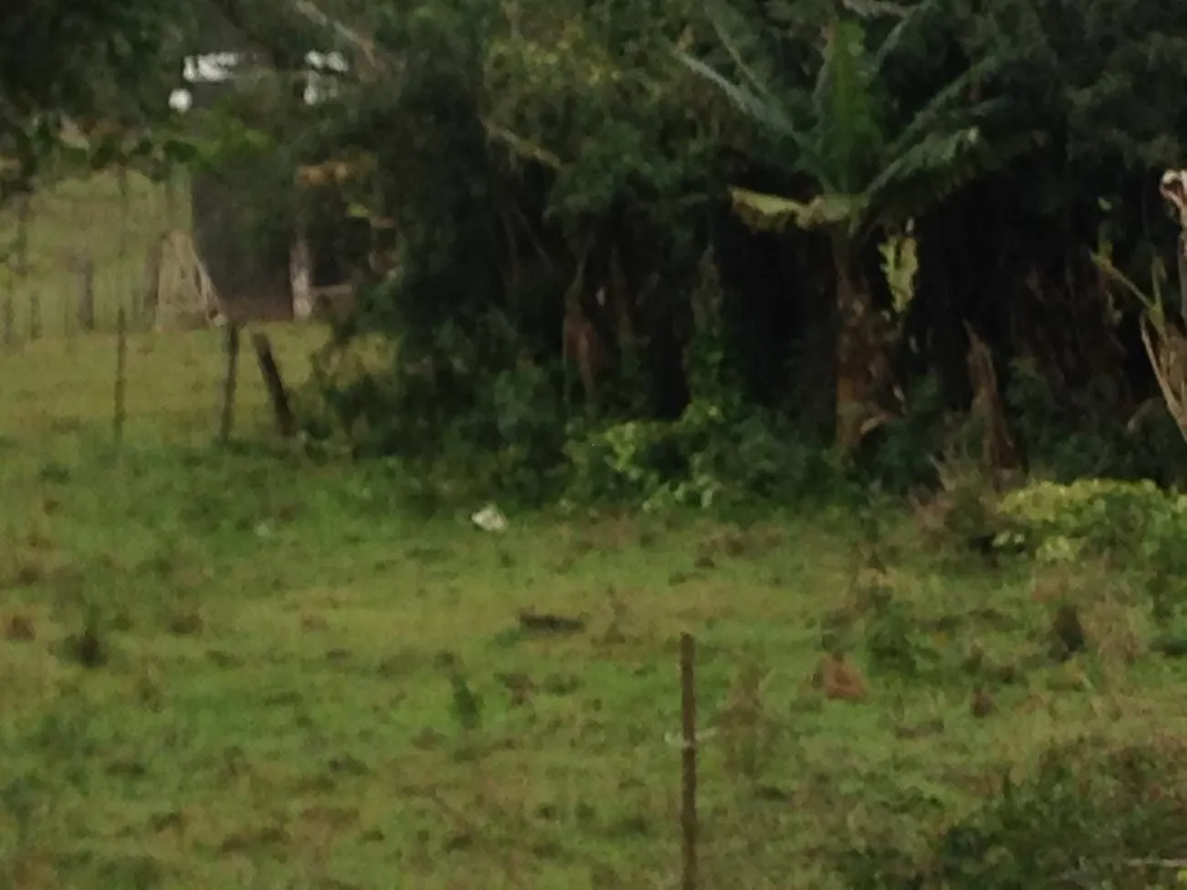 Terreno à venda de 1.500 m² em Santo Antônio da Patrulha, RS, Brasil