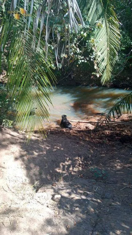 Fazenda à venda de 370 ha em Cuiabá, MT, Brasil