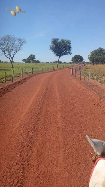 Fazenda à venda de 370 ha em Cuiabá, MT, Brasil