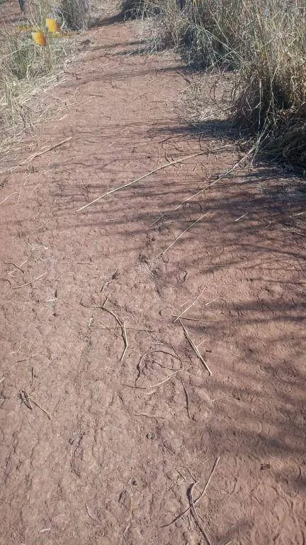 Fazenda à venda de 370 ha em Cuiabá, MT, Brasil