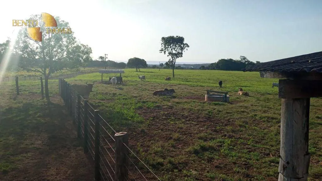 Fazenda à venda de 370 ha em Cuiabá, MT, Brasil