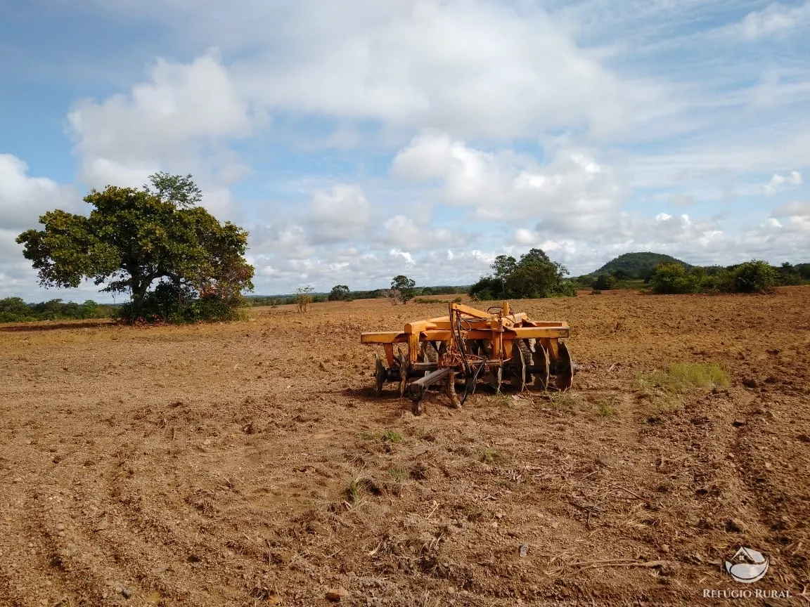 Fazenda à venda de 19.819 ha em Paraíso do Tocantins, TO, Brasil