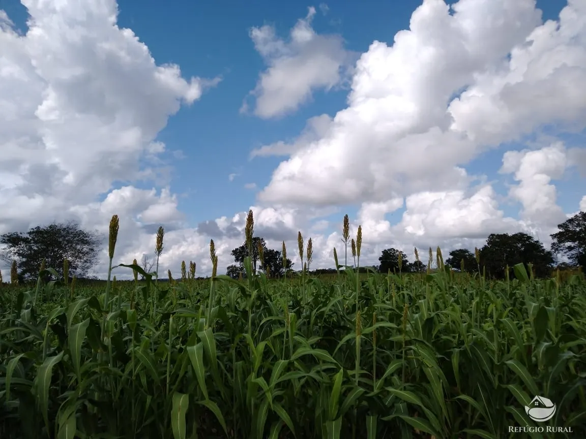 Fazenda à venda de 19.819 ha em Paraíso do Tocantins, TO, Brasil