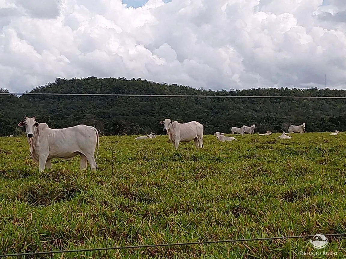 Fazenda à venda de 19.819 ha em Paraíso do Tocantins, TO, Brasil