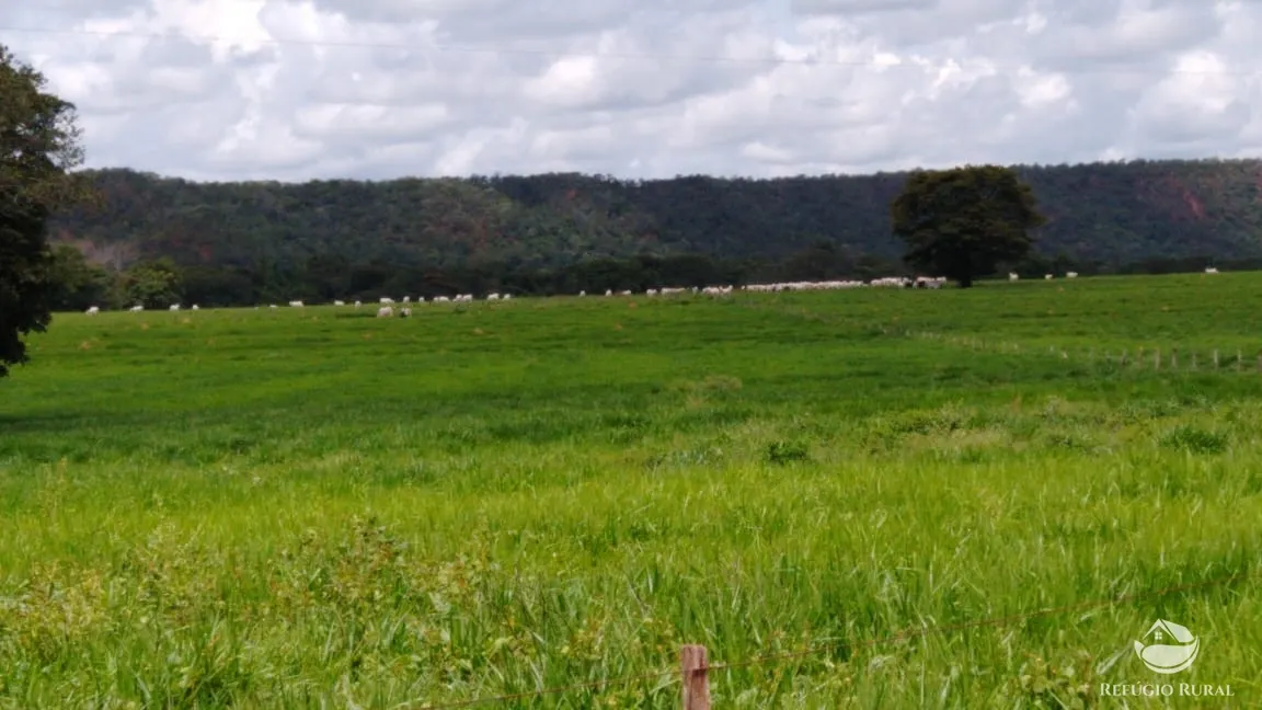 Fazenda à venda de 19.819 ha em Paraíso do Tocantins, TO, Brasil