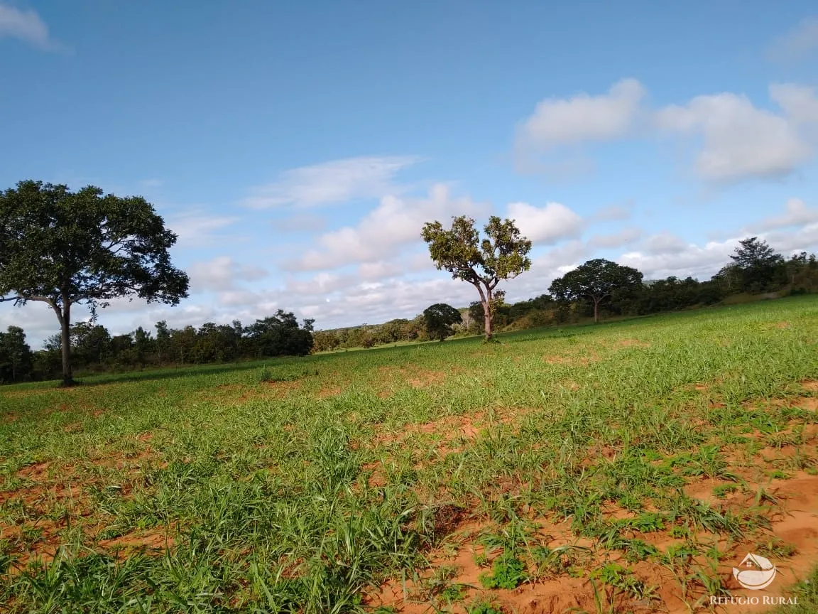 Fazenda à venda de 19.819 ha em Paraíso do Tocantins, TO, Brasil